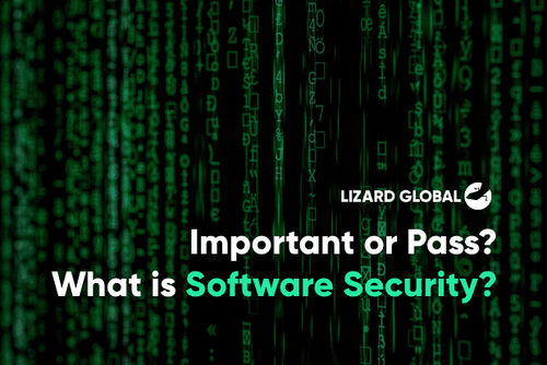 Important or Pass_ What is Software Security